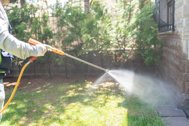 Lawn Pest Control in Norco, LA